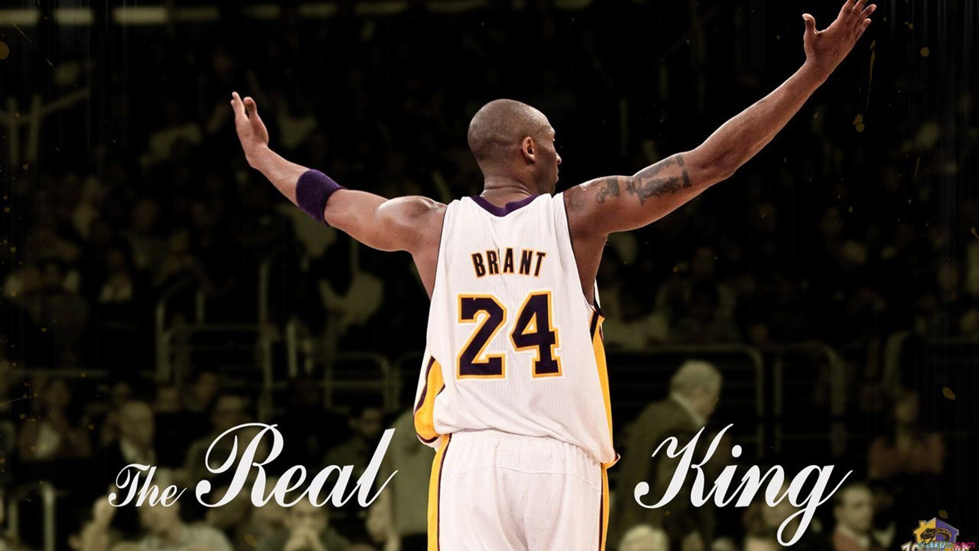 球员赛后体能报告正式出炉,球员体检项目有哪些