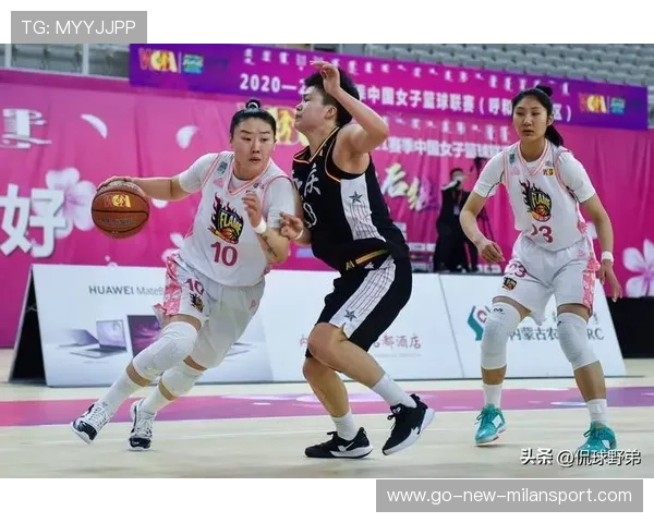 女篮职业化的中国路径探索，职业女篮叫什么